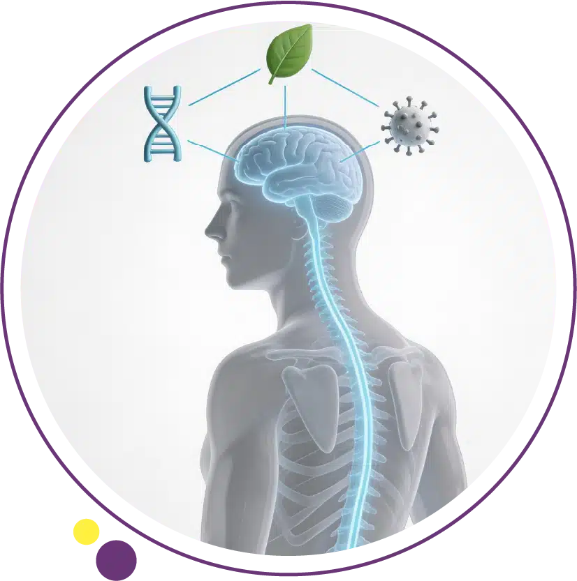 multiple sclerosis causes