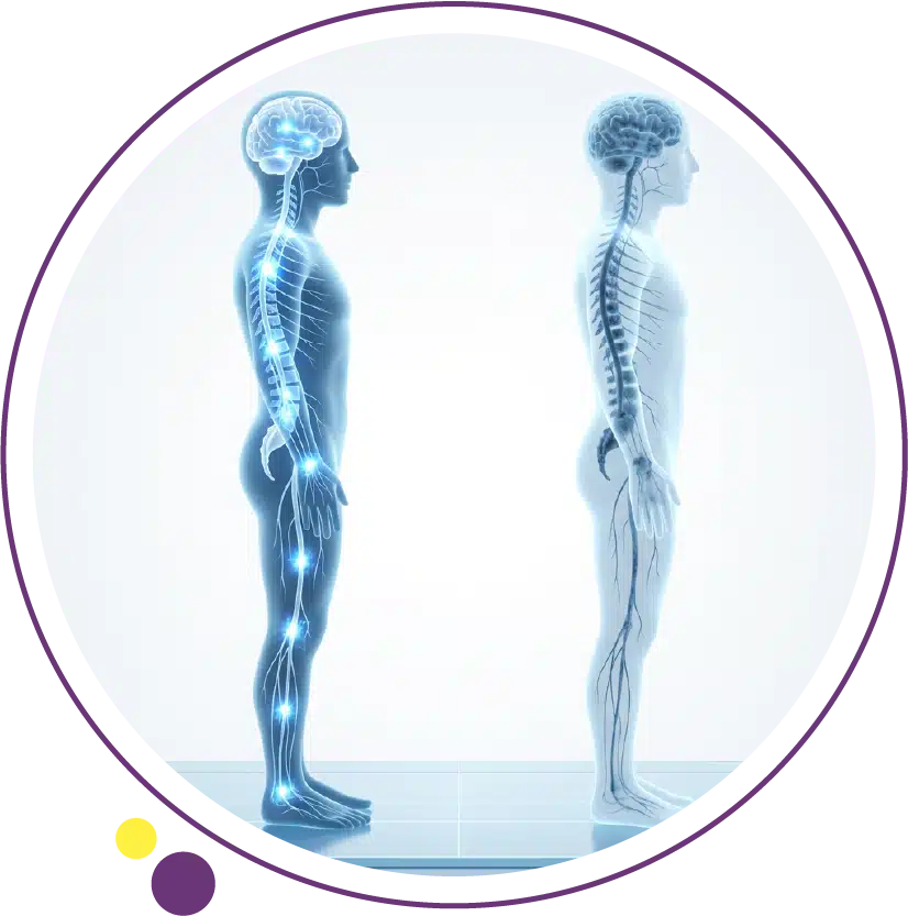 types of multiple sclerosis